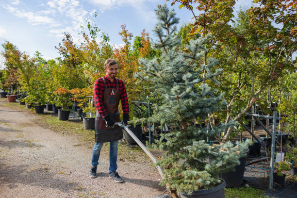 Mulching Services in Westville, OK